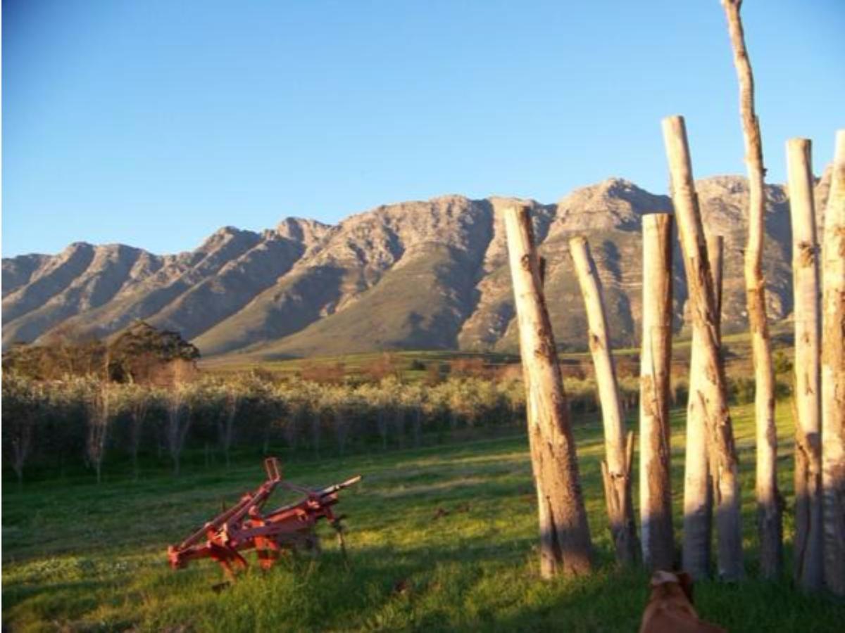 Fraaigelegen Farm - Home of ADHARA EVOO Tulbagh Buitenkant foto