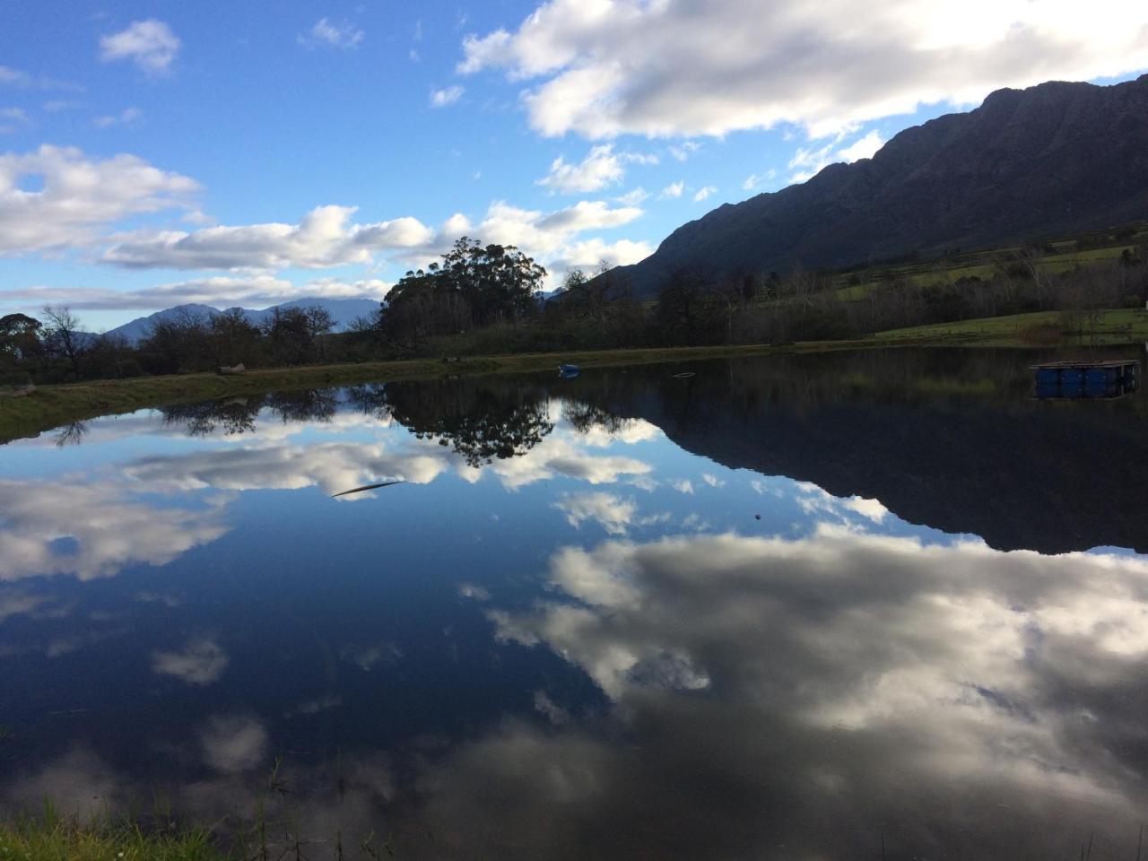 Fraaigelegen Farm - Home of ADHARA EVOO Tulbagh Buitenkant foto