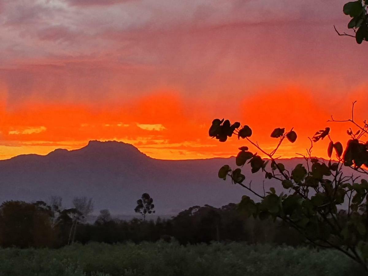 Fraaigelegen Farm - Home of ADHARA EVOO Tulbagh Buitenkant foto